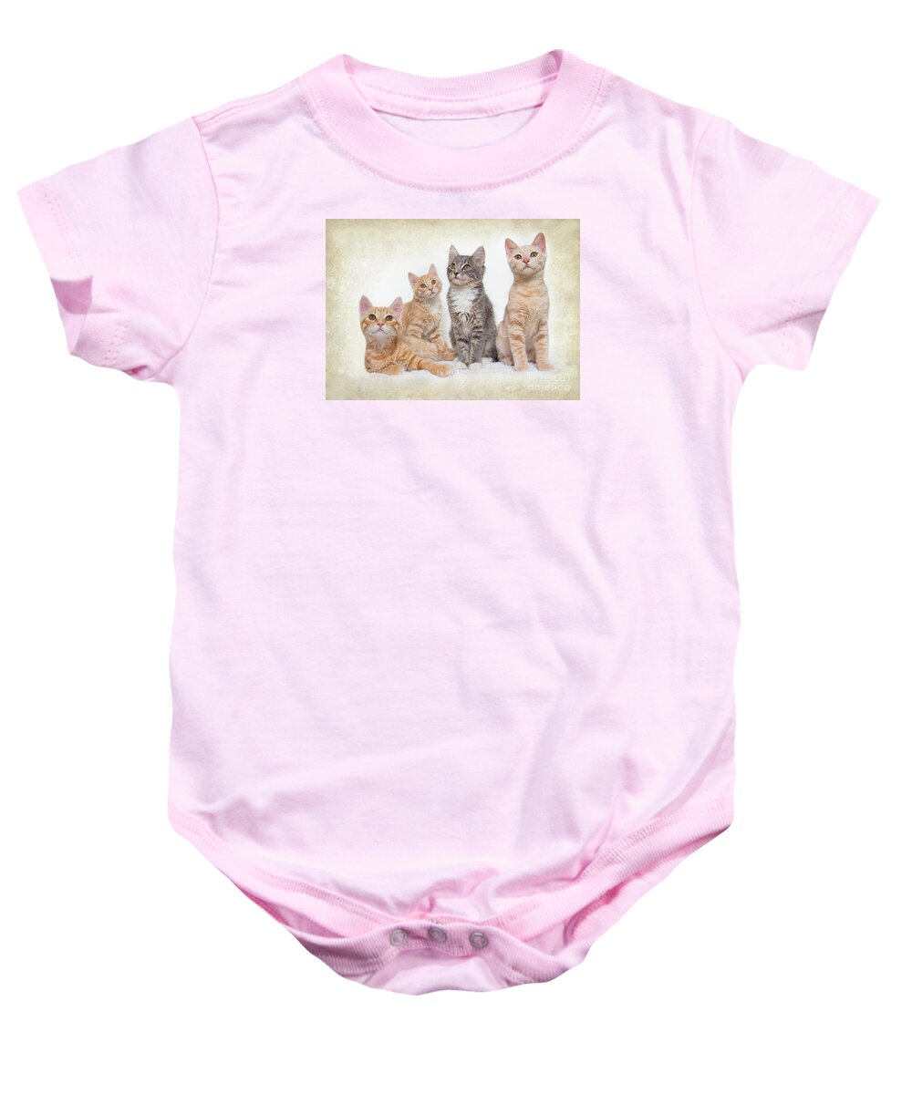 Kittens Baby Onesie featuring the photograph Kittens by Mimi Ditchie