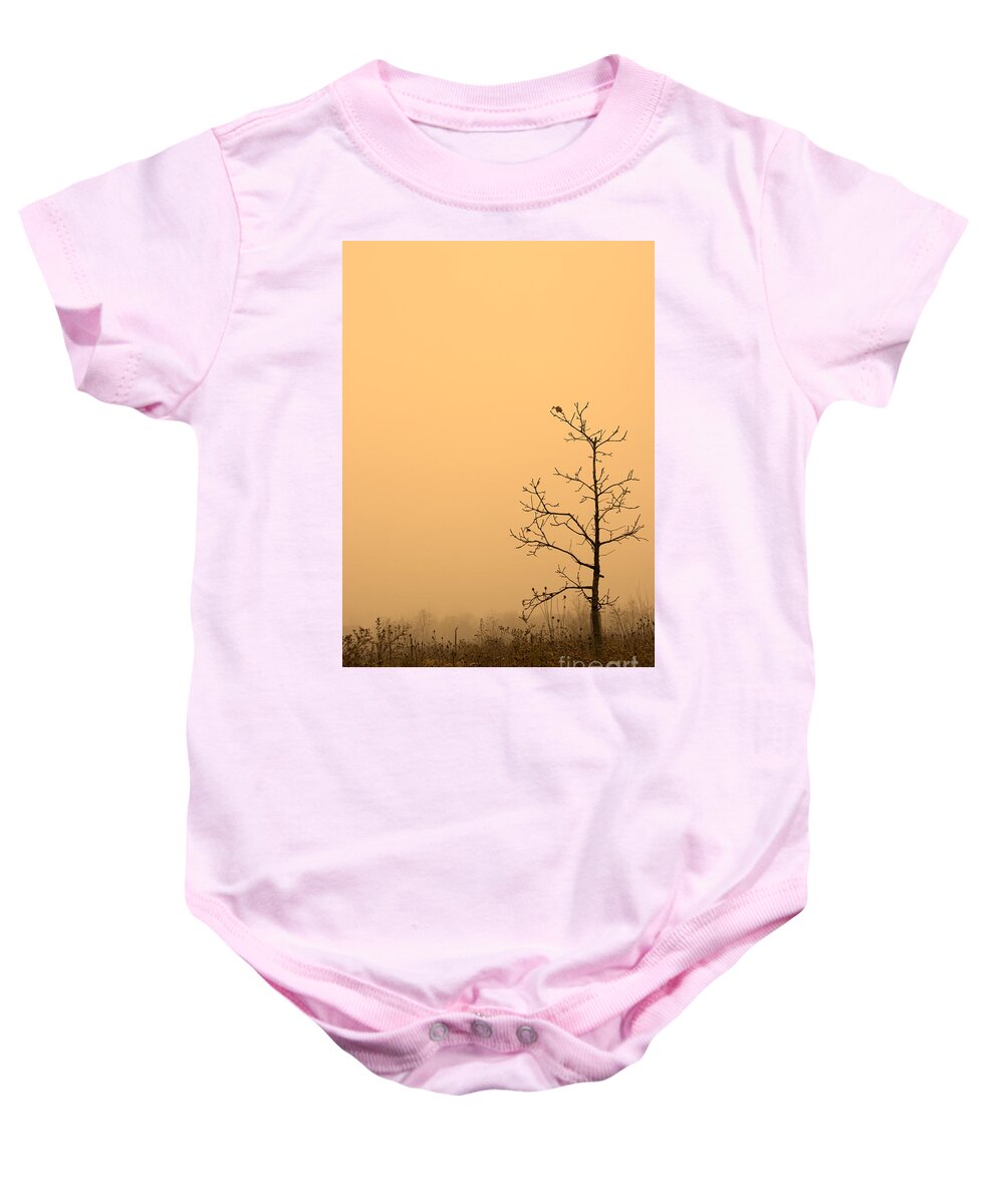 Tree Baby Onesie featuring the photograph Last Leaves by Timothy Johnson