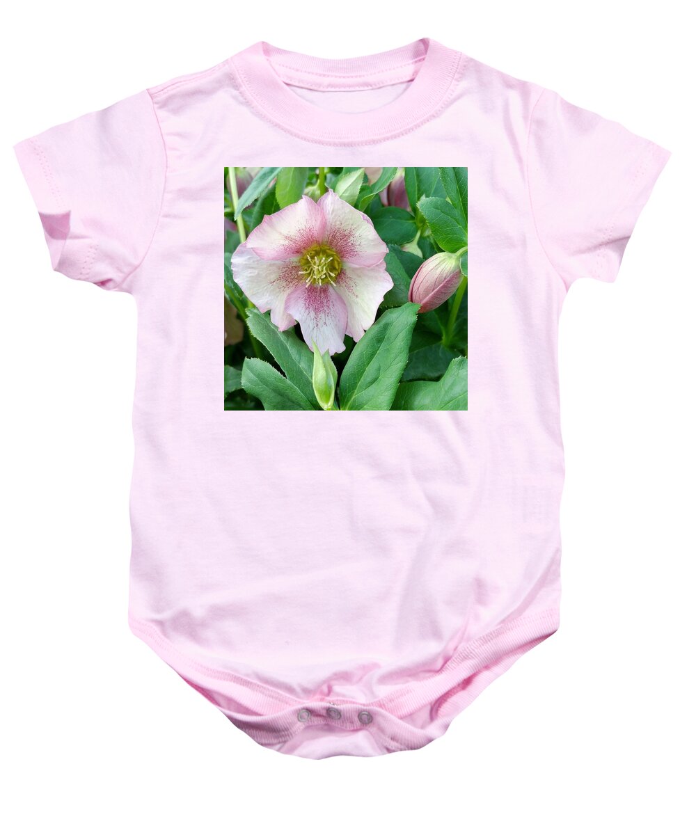 Rose Baby Onesie featuring the photograph Lenten Rose by Kathy Barney