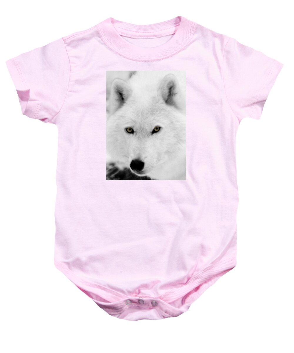 Arctic Wolf Baby Onesie featuring the photograph Look into my eyes by Larry Ricker
