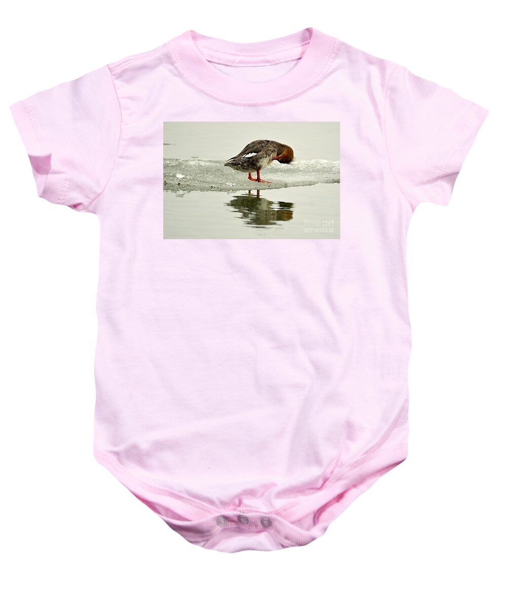 Common Merganser Baby Onesie featuring the photograph Merganser On The Ice by Sheila Lee