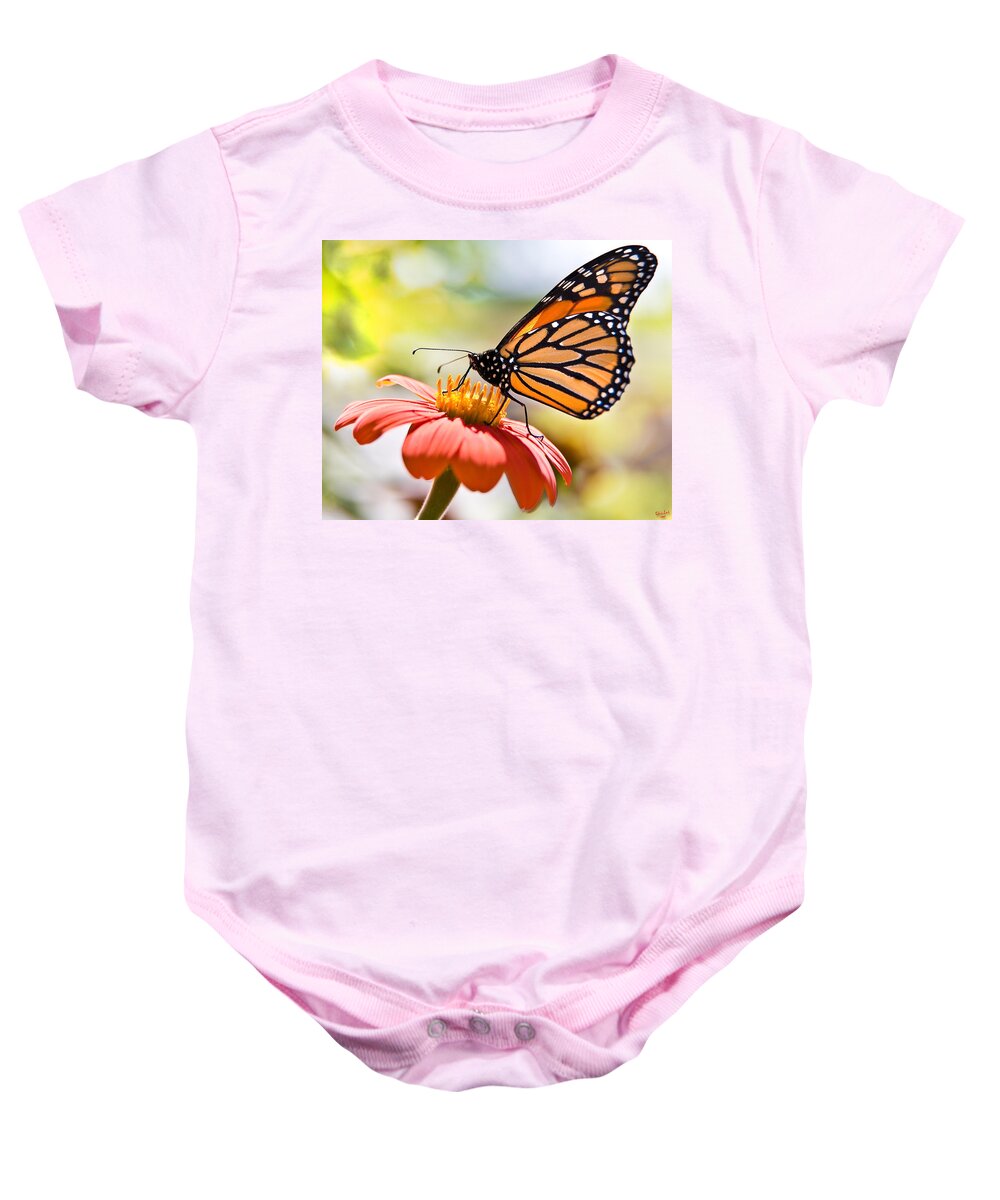 Butterfly Baby Onesie featuring the photograph Monarch Butterfly by Chris Lord