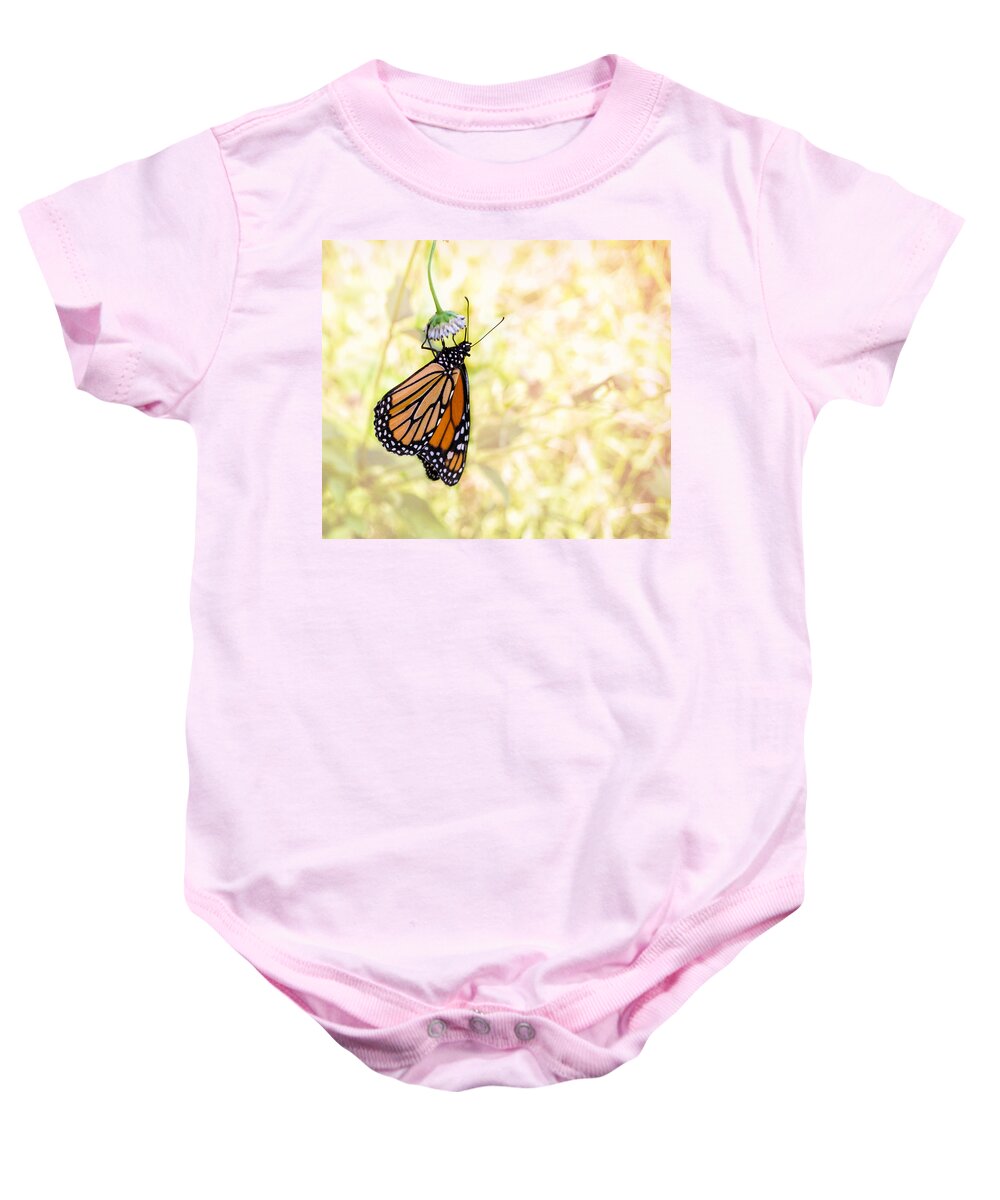 Monarch Butterfly Baby Onesie featuring the photograph Monarch Butterfly Hanging on Wildflower by Louise Lindsay