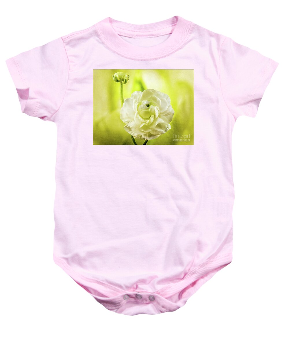 Mona Stut Baby Onesie featuring the photograph Ranunculus Mother and Child Dreams by Mona Stut