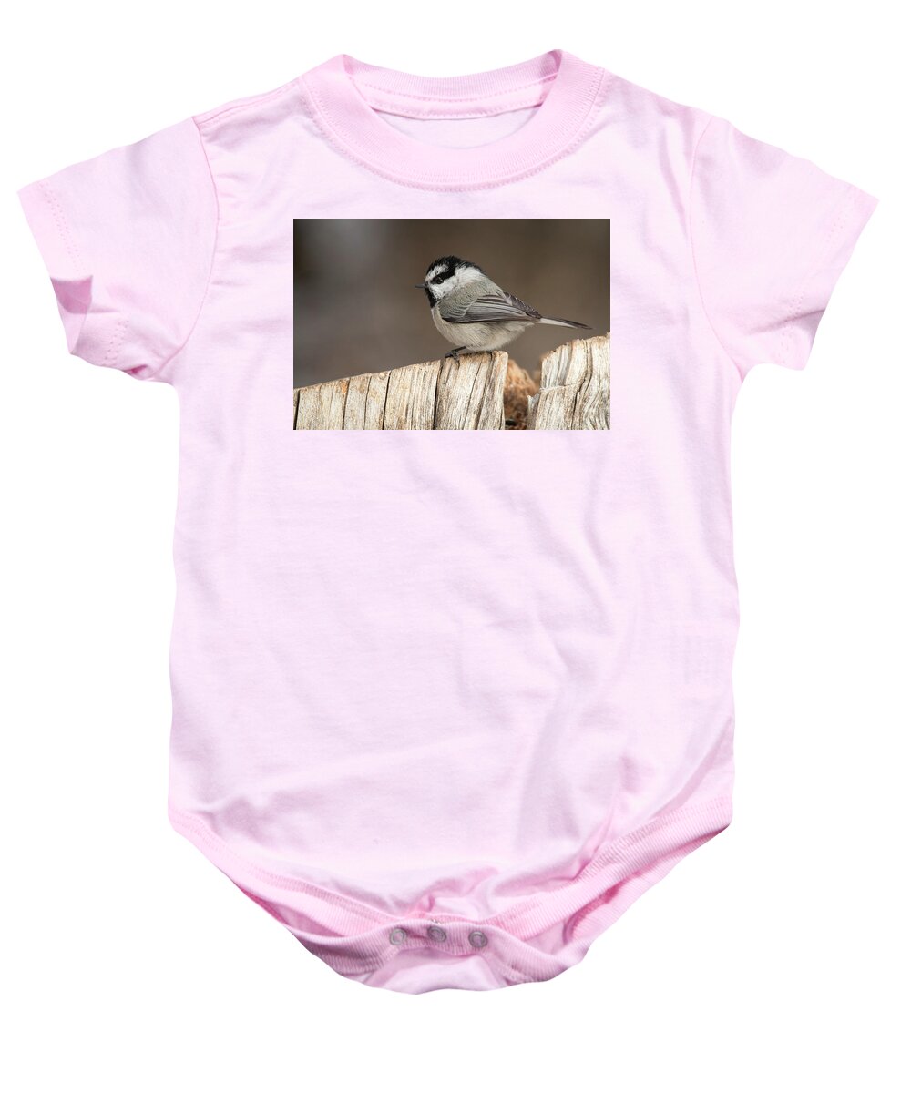 Bird Baby Onesie featuring the photograph Mountain Chickadee by Celine Pollard
