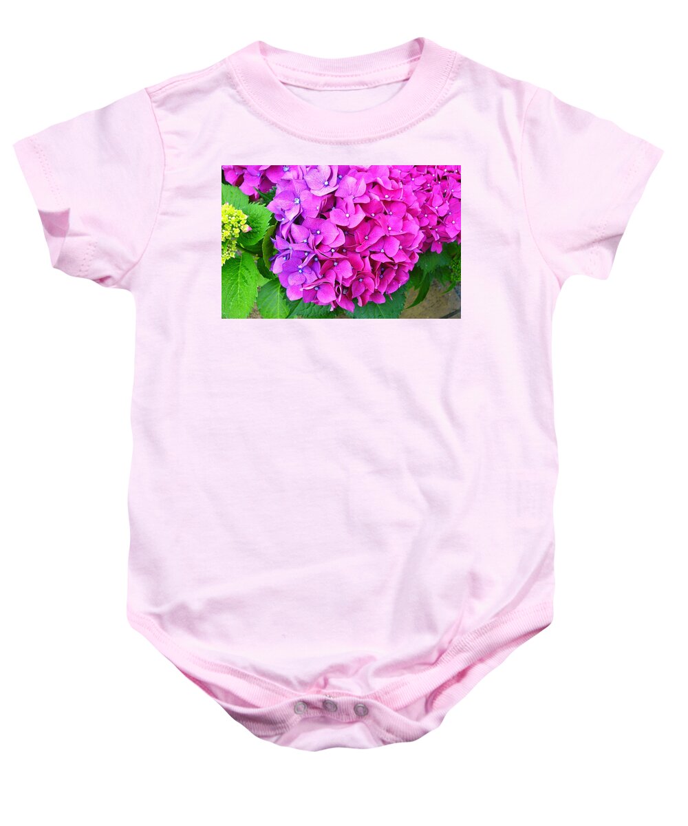 Nagasaki Baby Onesie featuring the photograph Nagasaki Floral Study 2 by Robert Meyers-Lussier