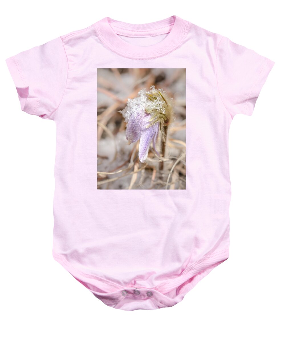Dakota Baby Onesie featuring the photograph Past Pasque by Greni Graph