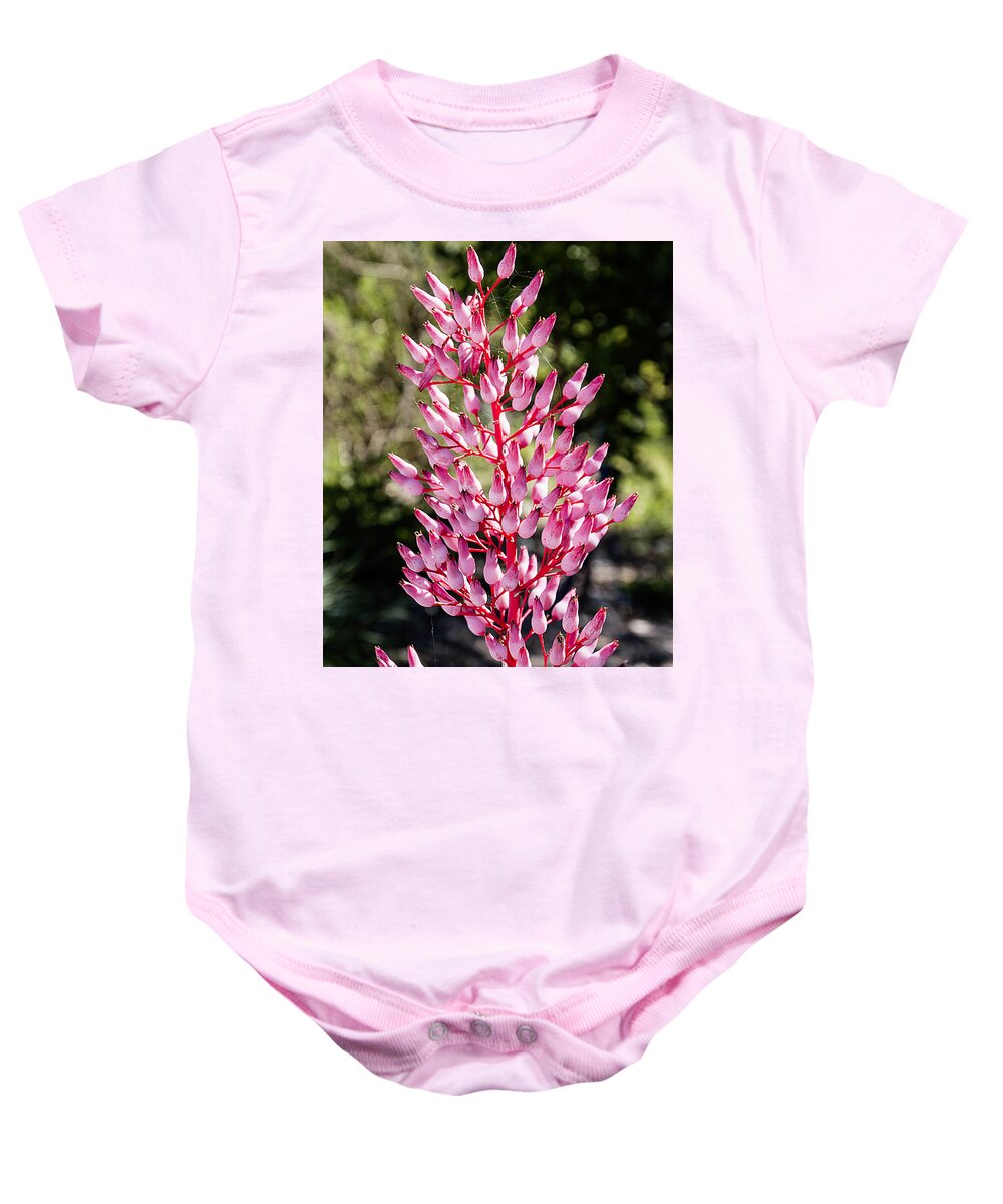 Tropical Baby Onesie featuring the photograph Bromeliads Flowers by Bob Slitzan