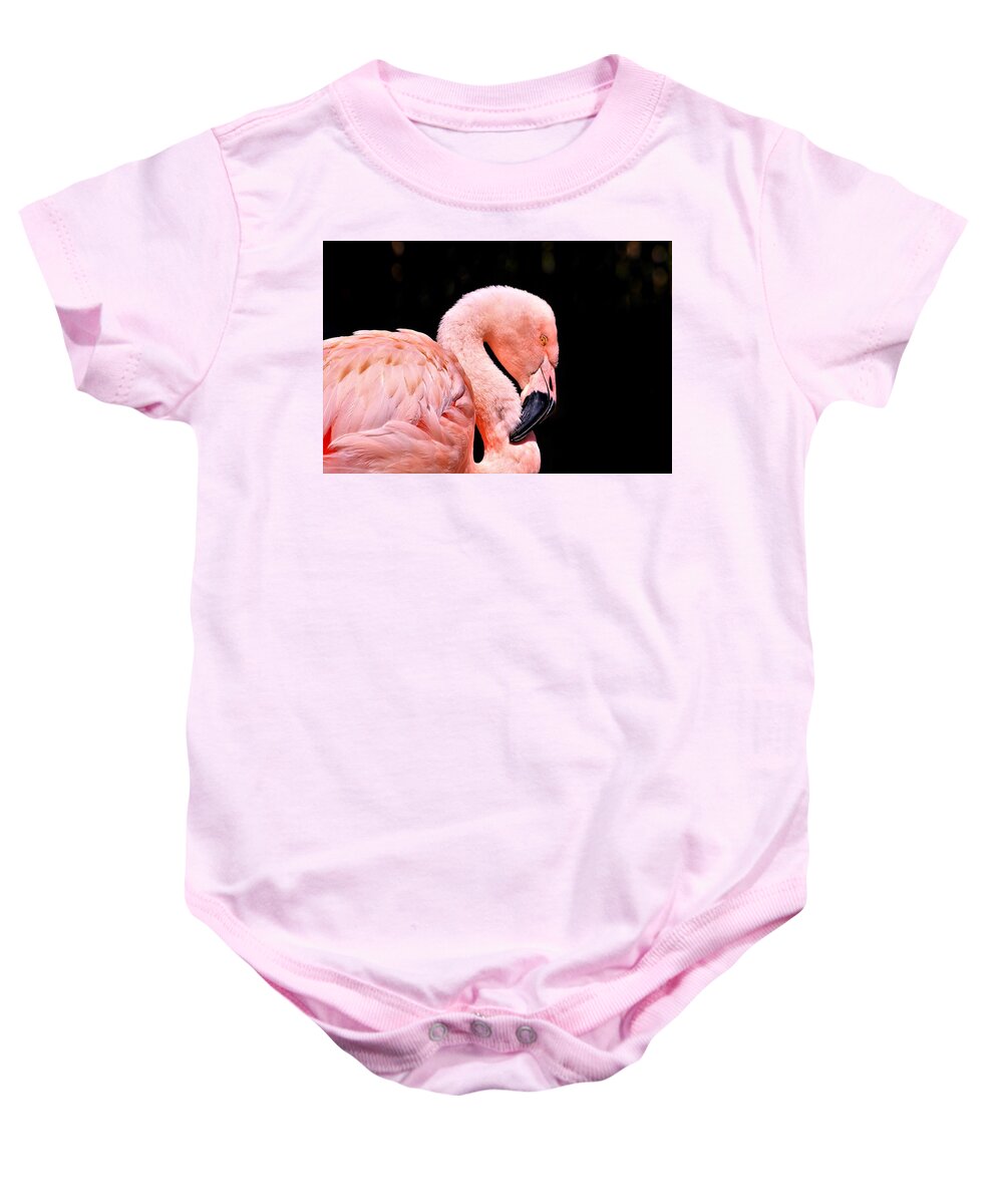 Nature Baby Onesie featuring the photograph Pink Flamingo on Black by Sheila Brown