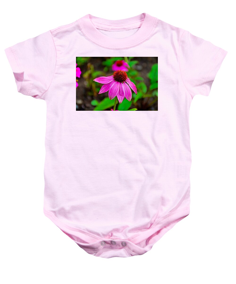 Purple Baby Onesie featuring the photograph Purple Coneflower by Robert Meyers-Lussier