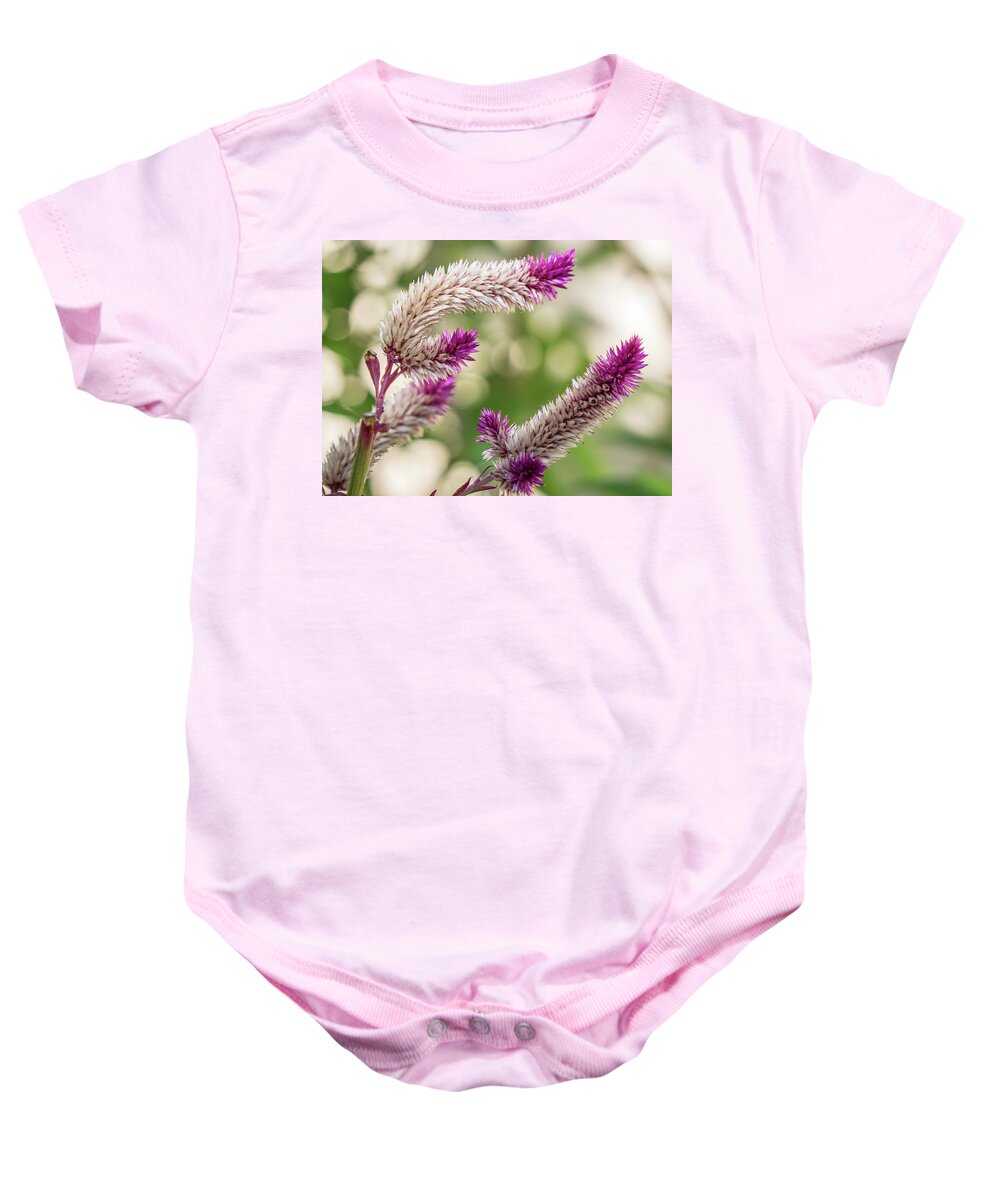 Florida Baby Onesie featuring the photograph Ruby Parfait Celosia by Jane Luxton