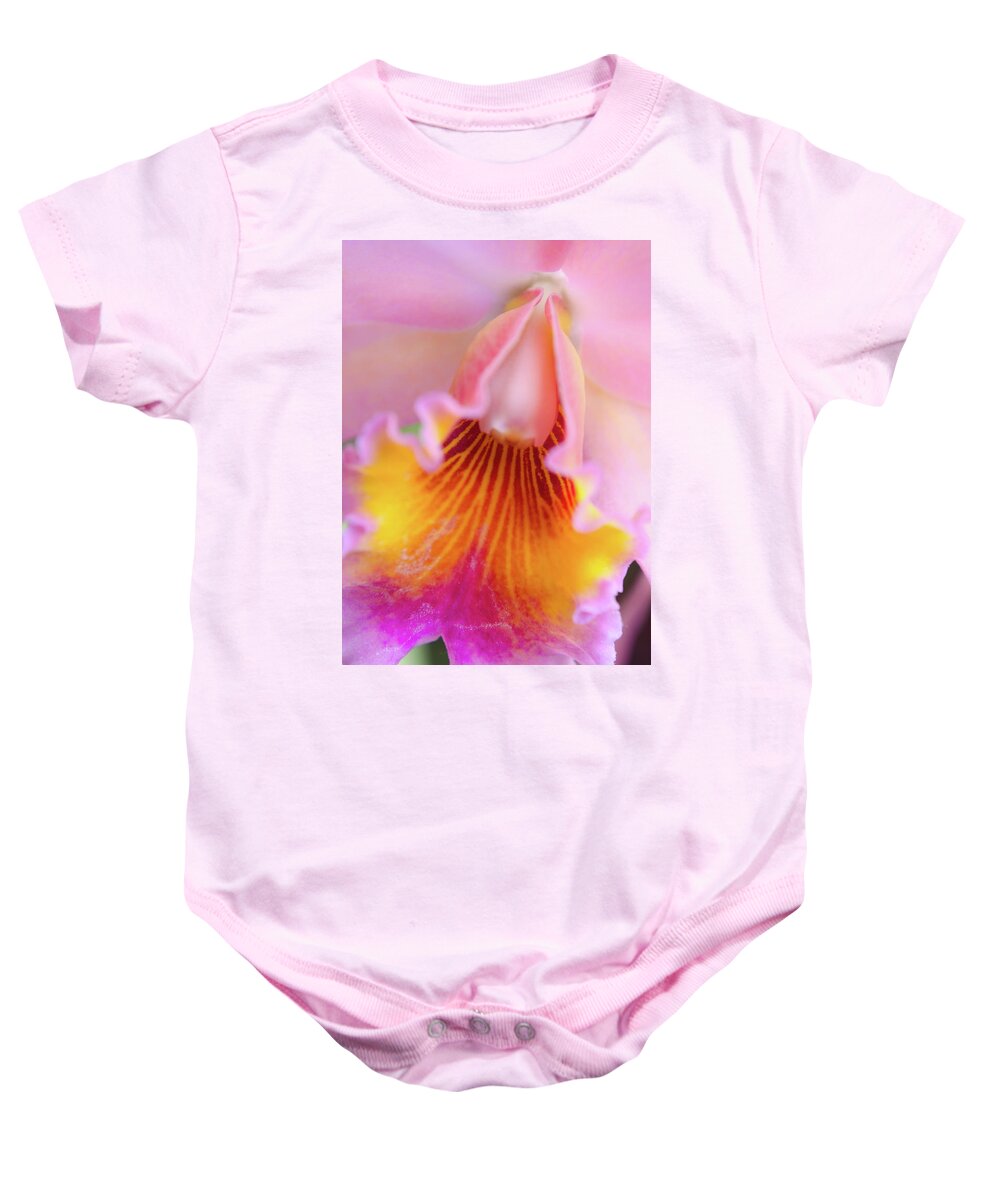 Cleveland Botanical Gardens Baby Onesie featuring the photograph Sensual Floral by Stewart Helberg
