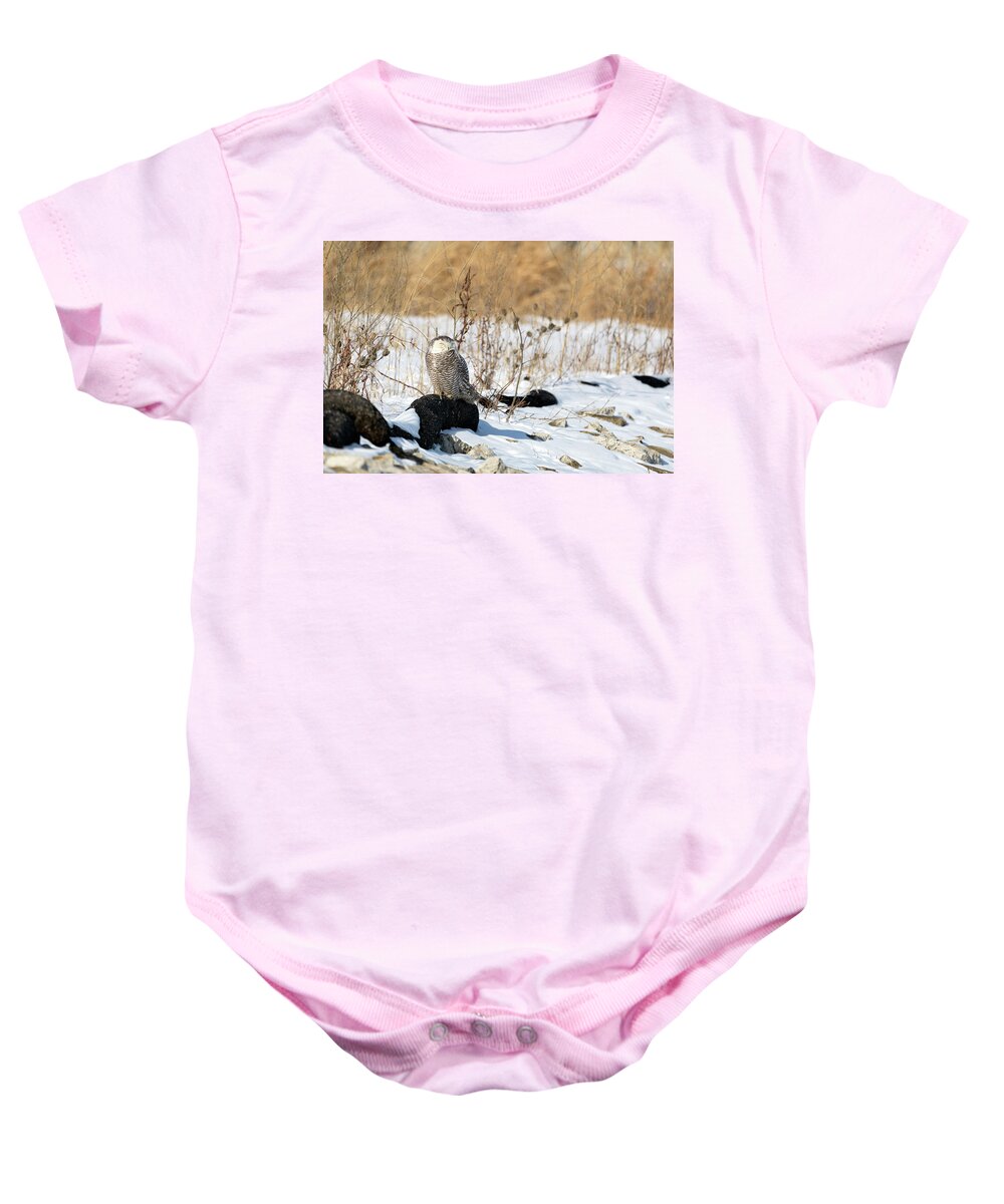 Snowy Owl Snow Landscape Watching Providence Ri Rhode Island Newengland New England Outside Outdoors Nature Natural Wild Life Wildlife Bird Ornithology Winter Snow Baby Onesie featuring the photograph Sitting Snowy by Brian Hale