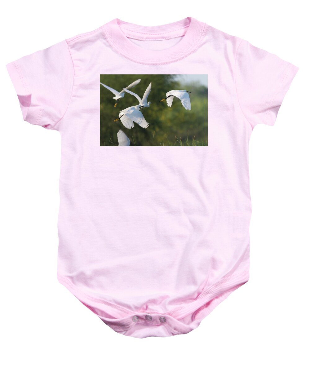 Debra Martz Baby Onesie featuring the photograph Snowy Egrets Taking Flight by Debra Martz