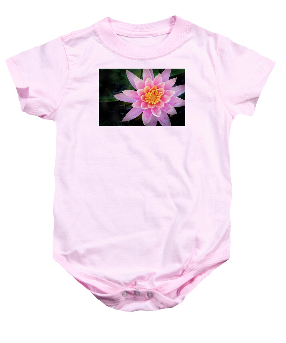 Water Lily Baby Onesie featuring the photograph Stunning Water Lily by Don Johnson