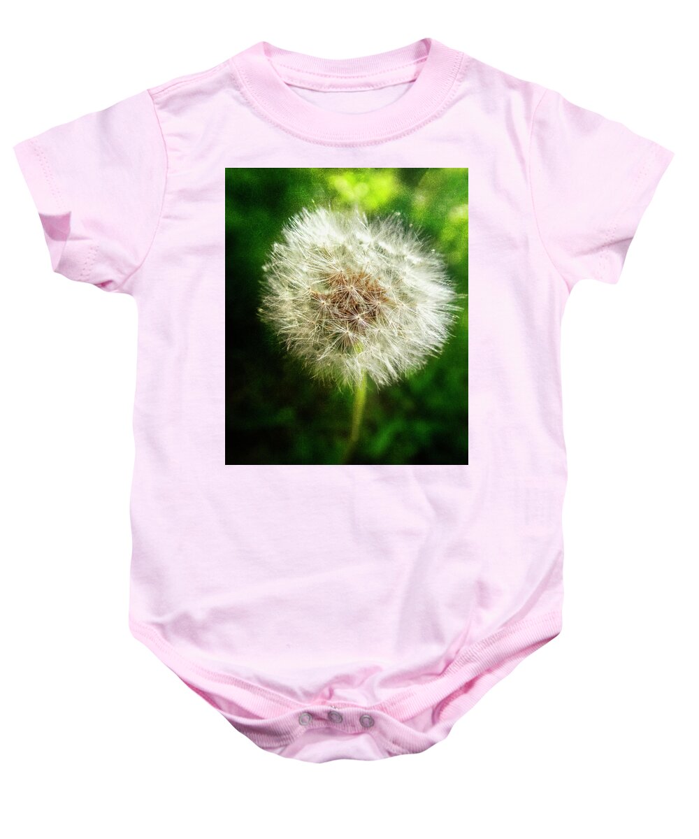 Appalachia Baby Onesie featuring the photograph The Magic of Dandelions by Debra and Dave Vanderlaan