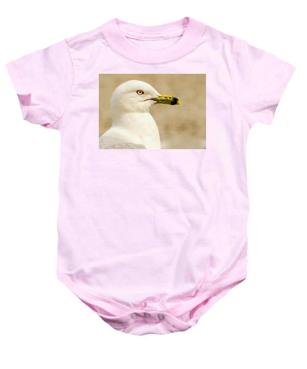 Great Lakes Gull Baby Onesie featuring the photograph The Proud Gull by John Roach