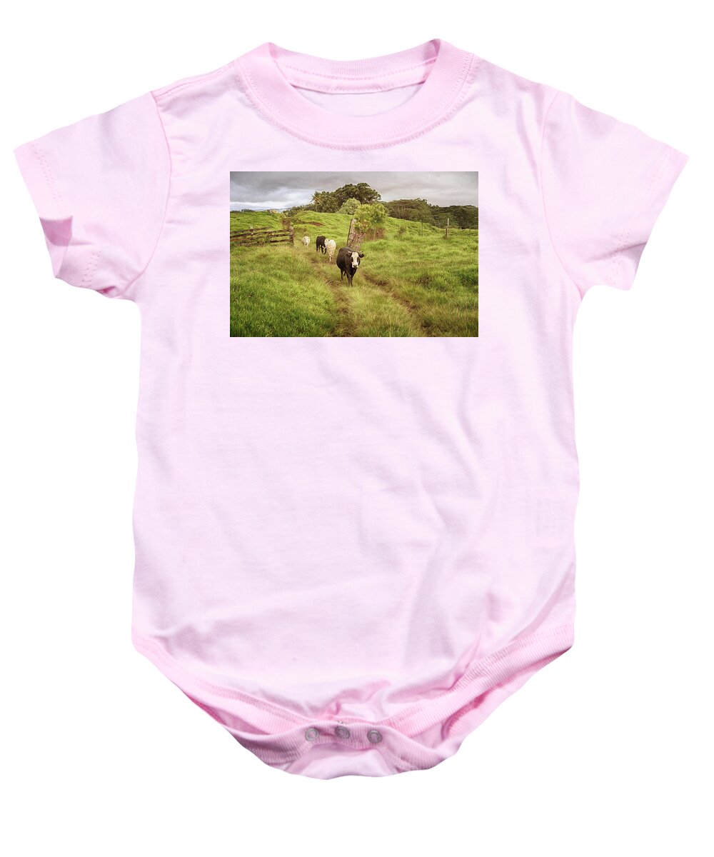 Cows Baby Onesie featuring the photograph Upcountry Ranch by Susan Rissi Tregoning