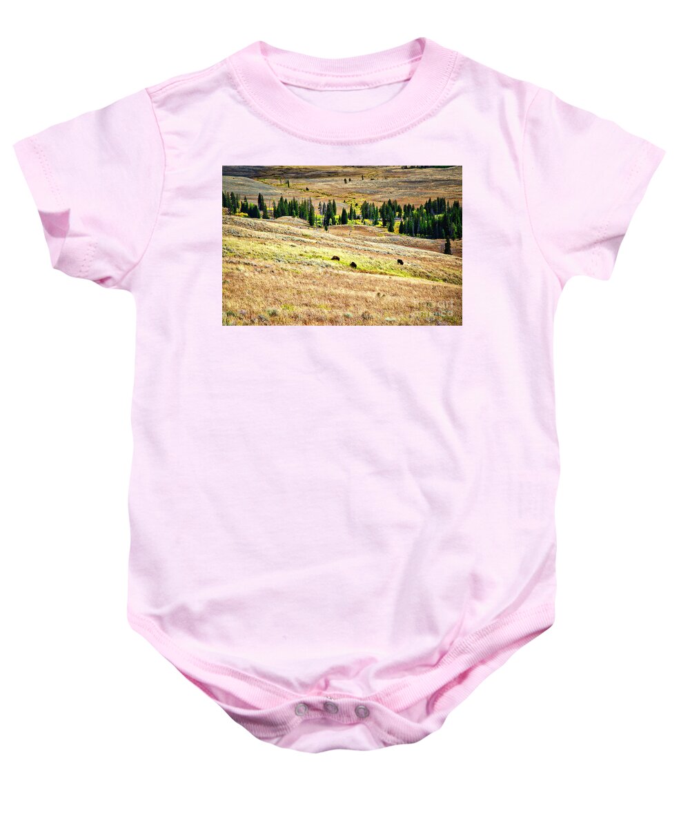 Small Group Of Animals Baby Onesie featuring the photograph Yellowstone Bison in Autumn by Bruce Block