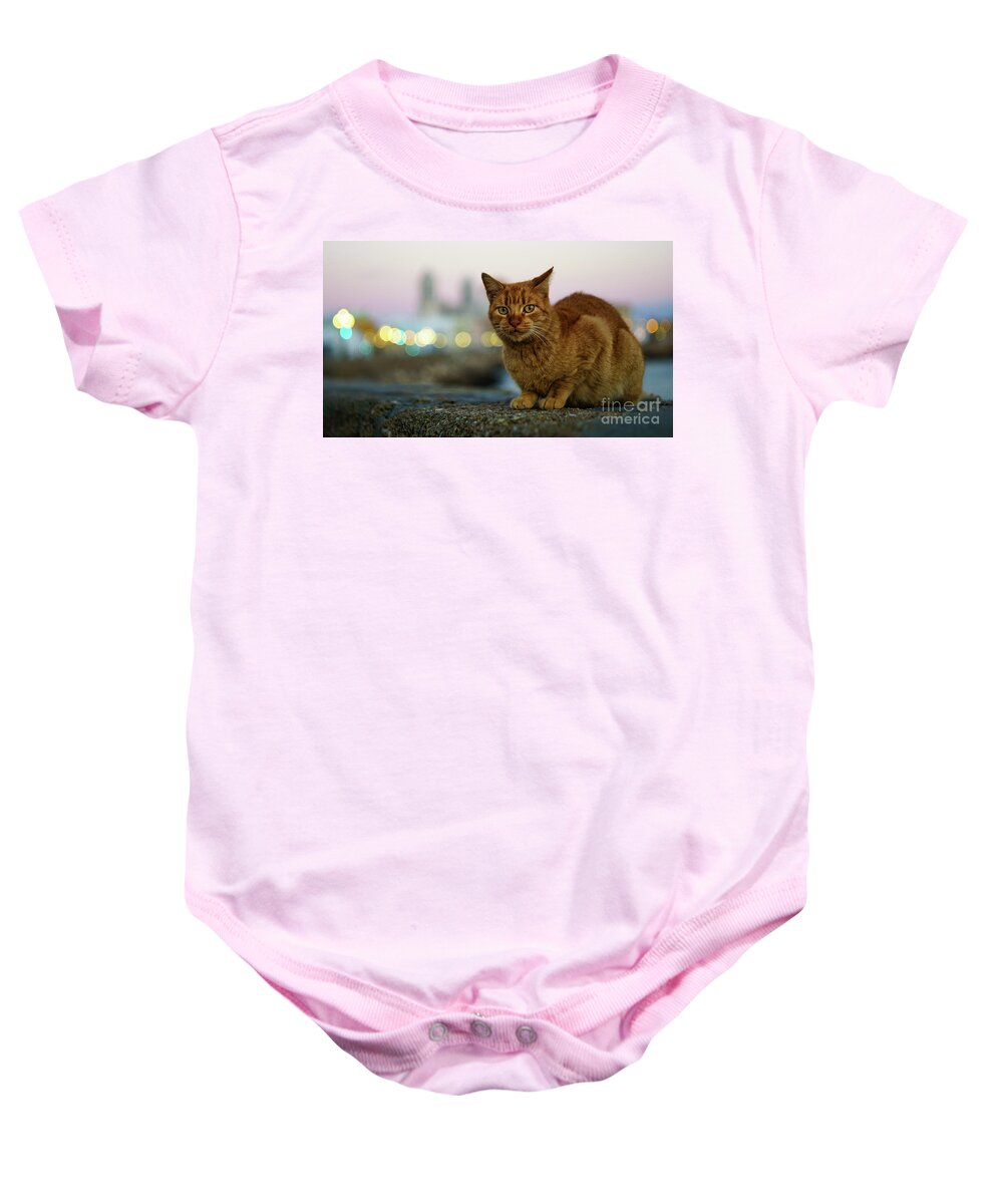 Vacation Baby Onesie featuring the photograph Brown Cat and Cathedral by the Sea Cadiz Spain #1 by Pablo Avanzini