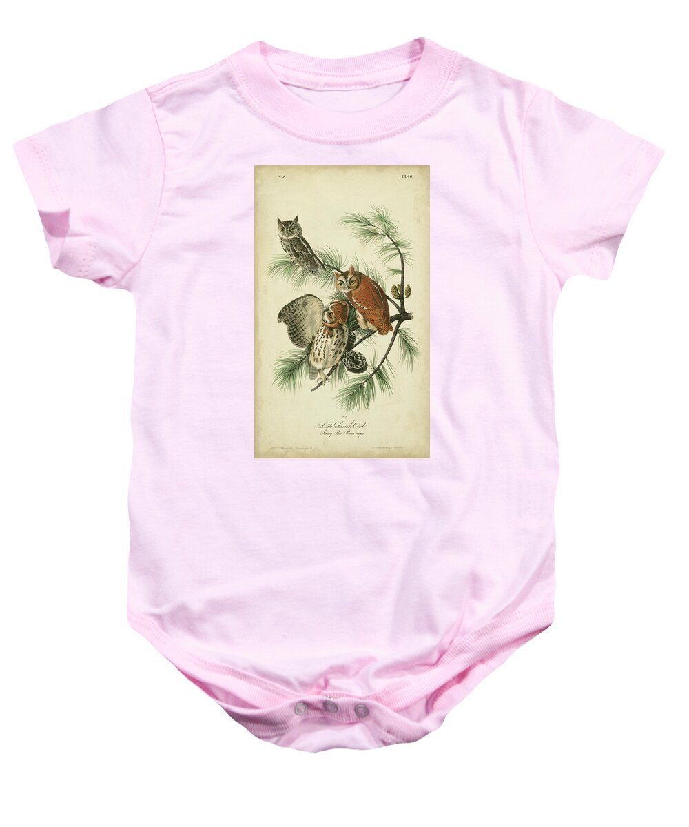 Decorative Baby Onesie featuring the painting Audubon Screech Owl by John James Audubon
