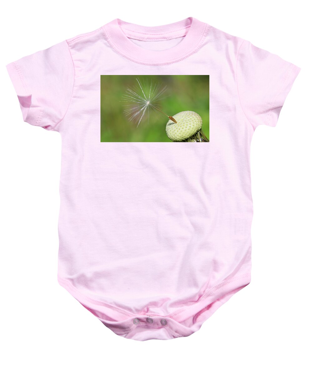 Plant Baby Onesie featuring the photograph Autumn's end by Martin Smith