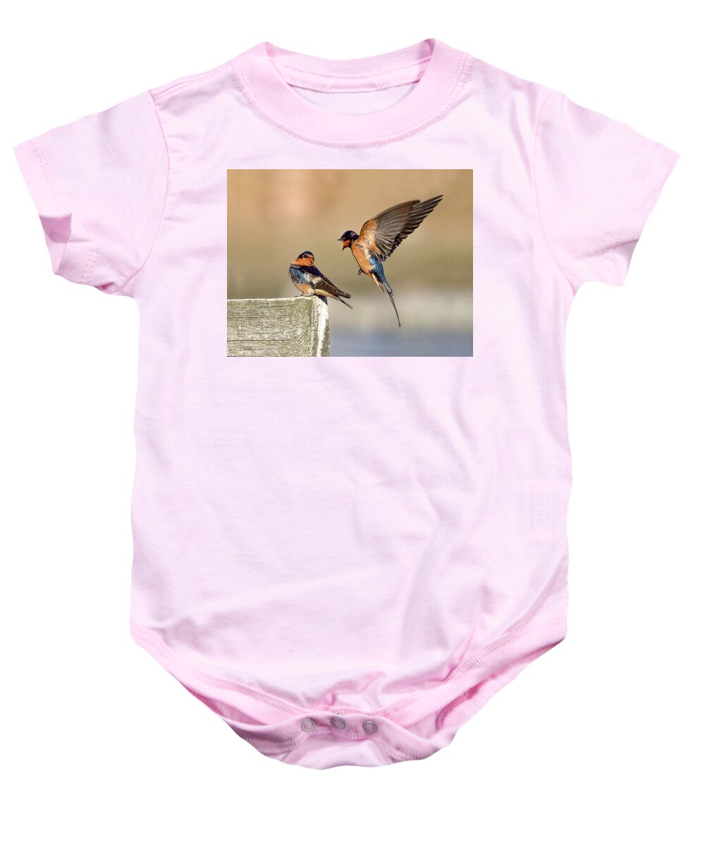 Barn Swallows Baby Onesie featuring the photograph Barn Swallow Conversation by Judi Dressler