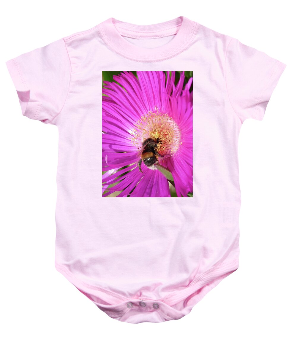 Bumblebee Baby Onesie featuring the photograph Bumblebee collecting pollen from ice plant by Steve Estvanik