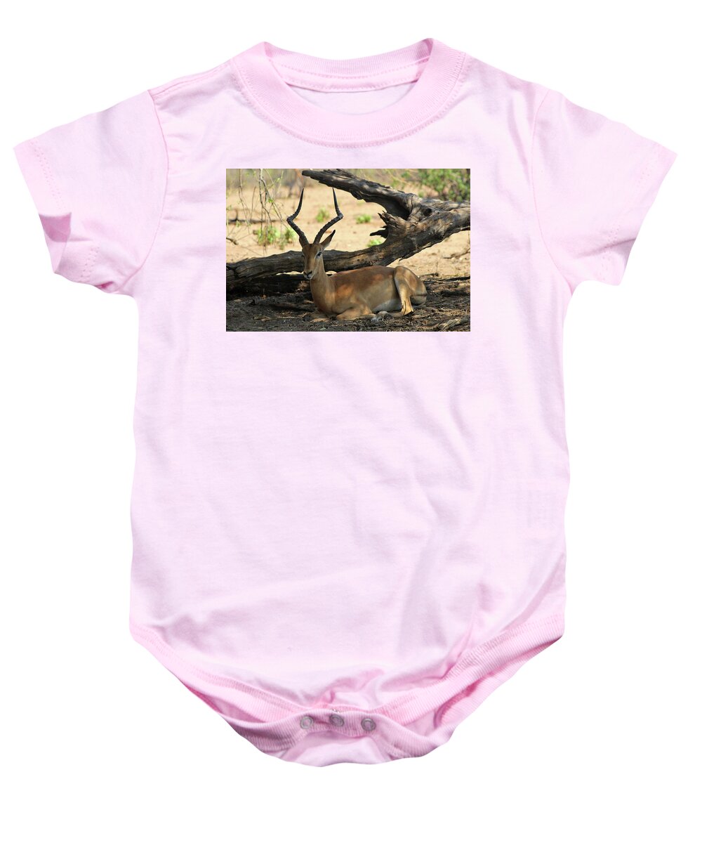  Baby Onesie featuring the photograph Chillin in the shade by Eric Pengelly