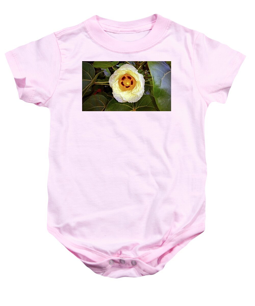 Gossypium Hirsutum Baby Onesie featuring the photograph Cottoning by Climate Change VI - Sales