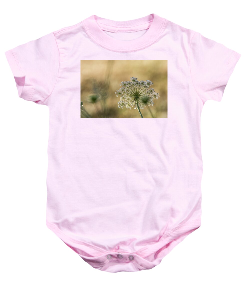 Astoria Baby Onesie featuring the photograph Late Summer Lace by Robert Potts