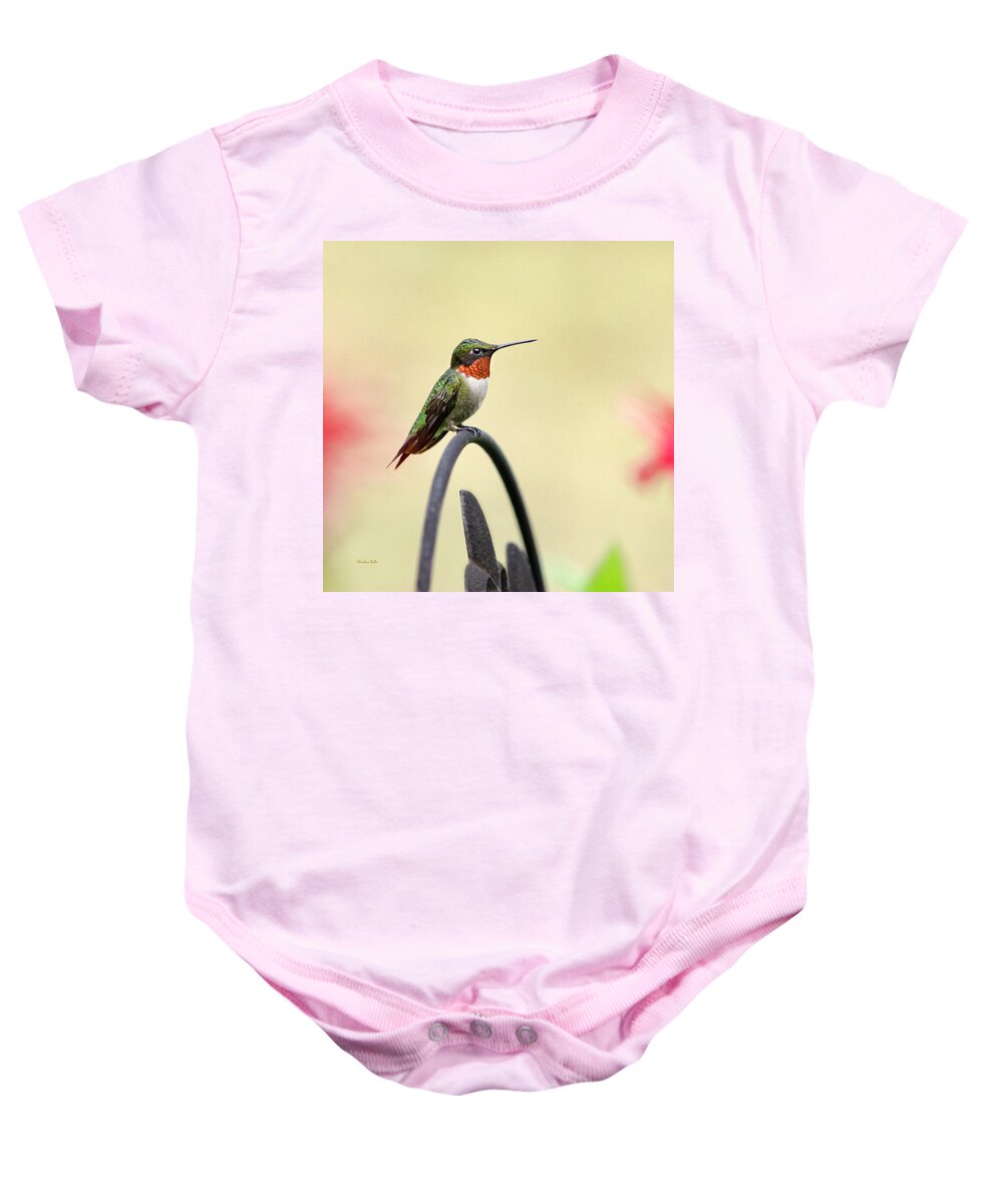 Birds Baby Onesie featuring the photograph Little Hummingbird by Christina Rollo