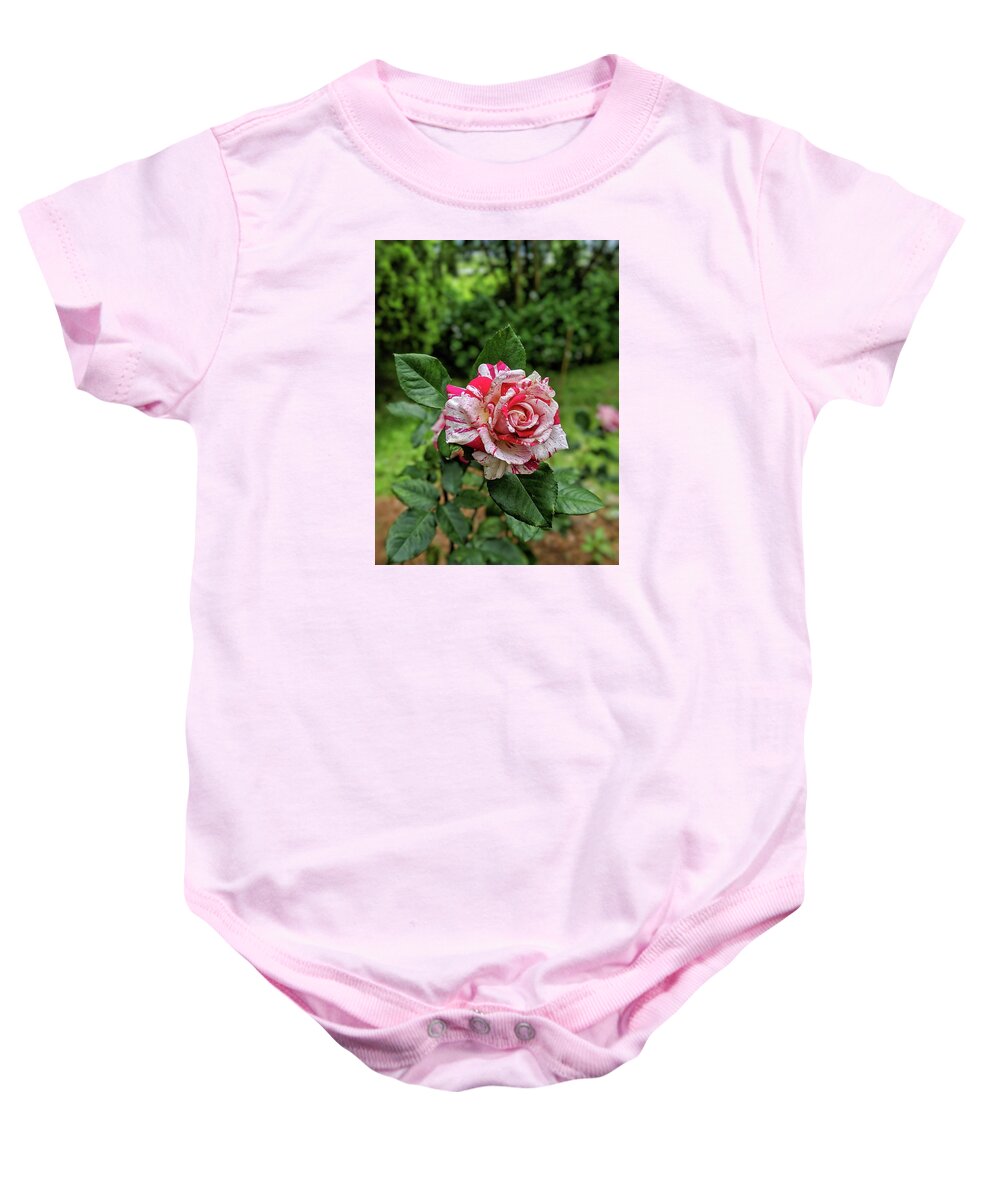 Rose Baby Onesie featuring the photograph Neil Diamond Rose by Portia Olaughlin