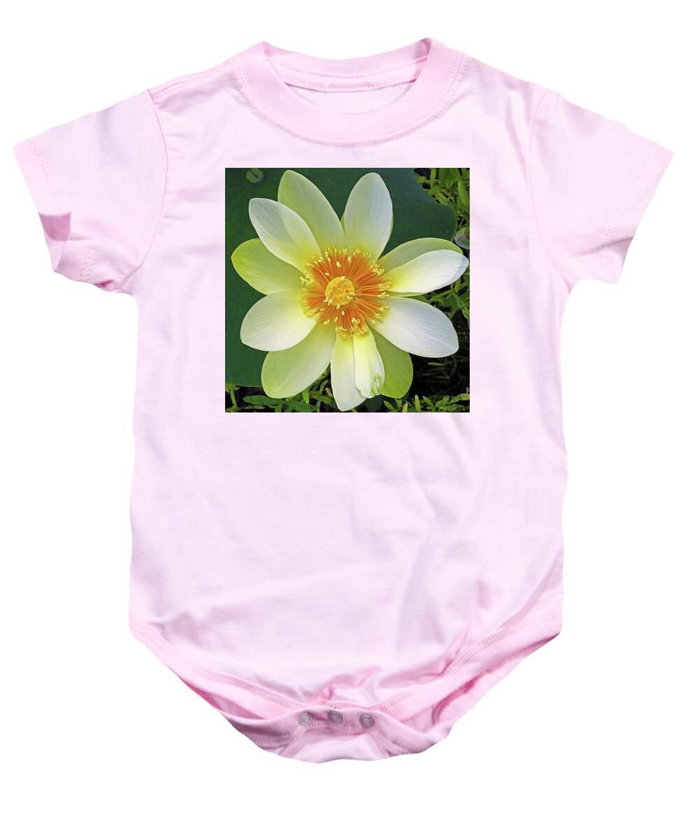 Lotus Baby Onesie featuring the photograph Open Wide by Michael Allard