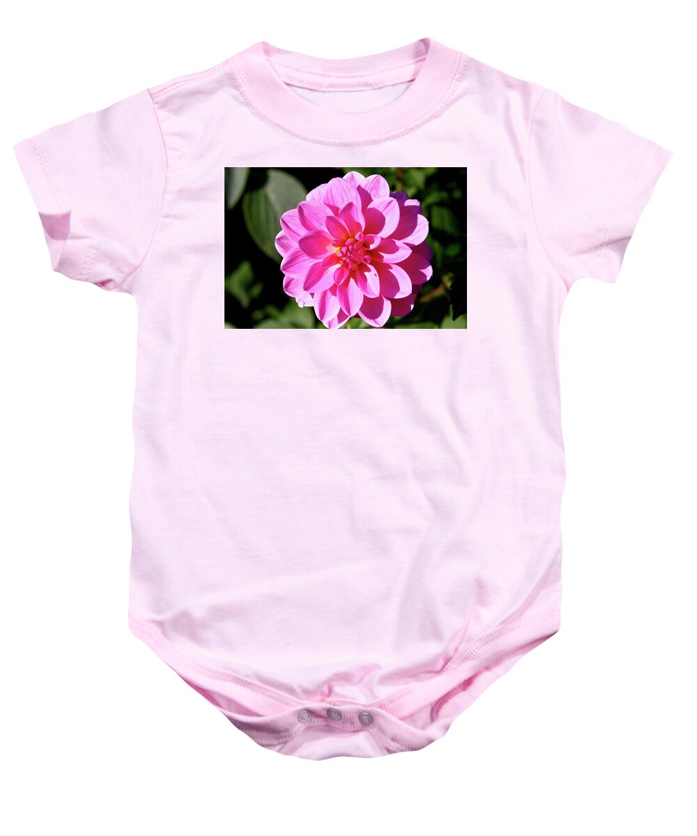  Pink Dahlia Baby Onesie featuring the photograph Pink Dahlia in Greenwich Park by Aidan Moran