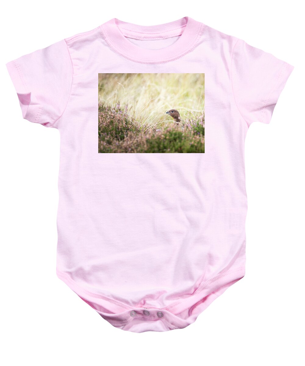 Female Red Grouse Baby Onesie featuring the photograph Red Grouse by Anita Nicholson