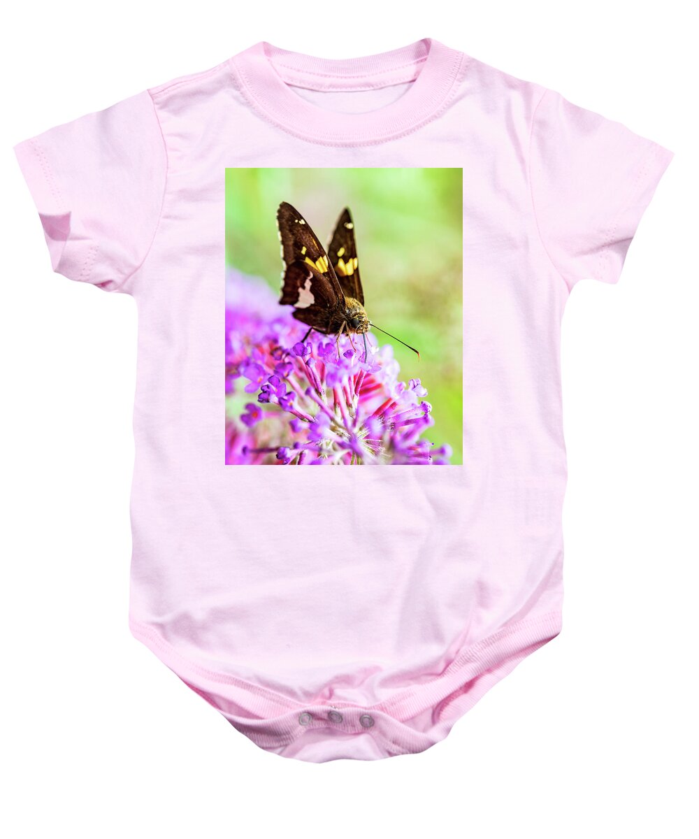 Plants Baby Onesie featuring the photograph Macro Photography - Butterfly #1 by Amelia Pearn