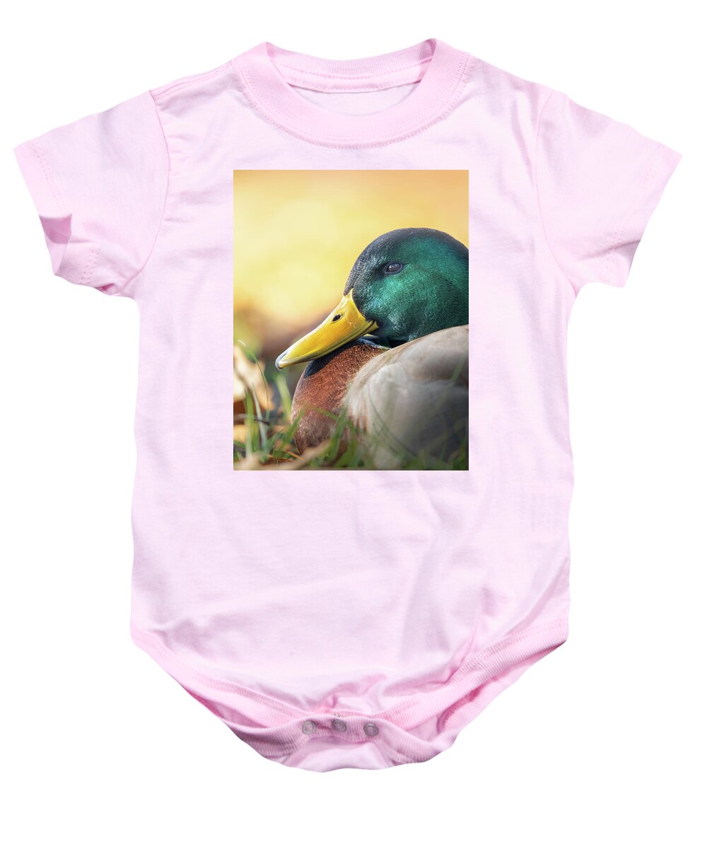 Mallard Baby Onesie featuring the photograph Mallard Duck Drake Portrait #1 by Jordan Hill