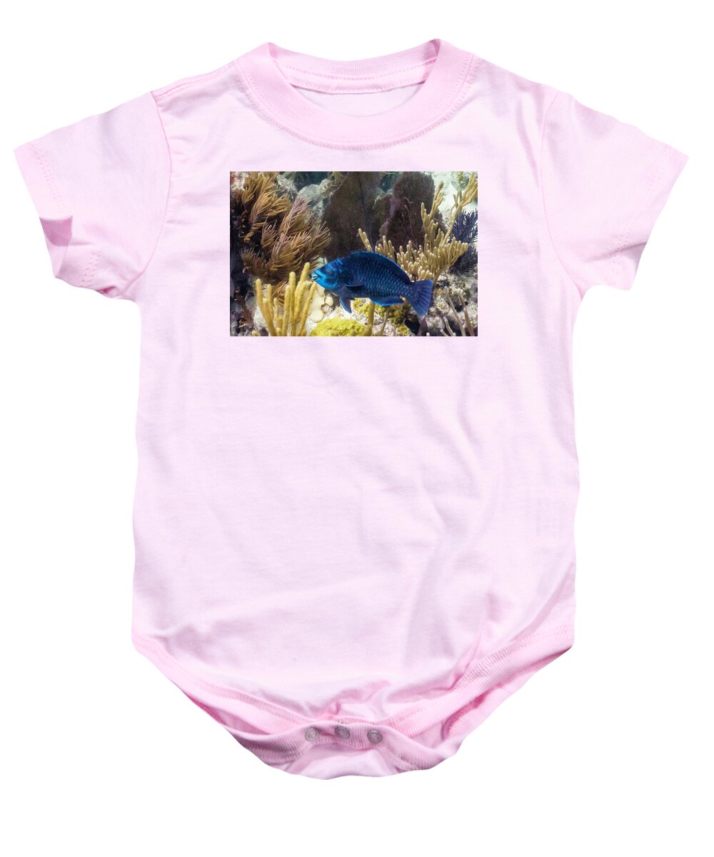 Animals Baby Onesie featuring the photograph After Midnight by Lynne Browne