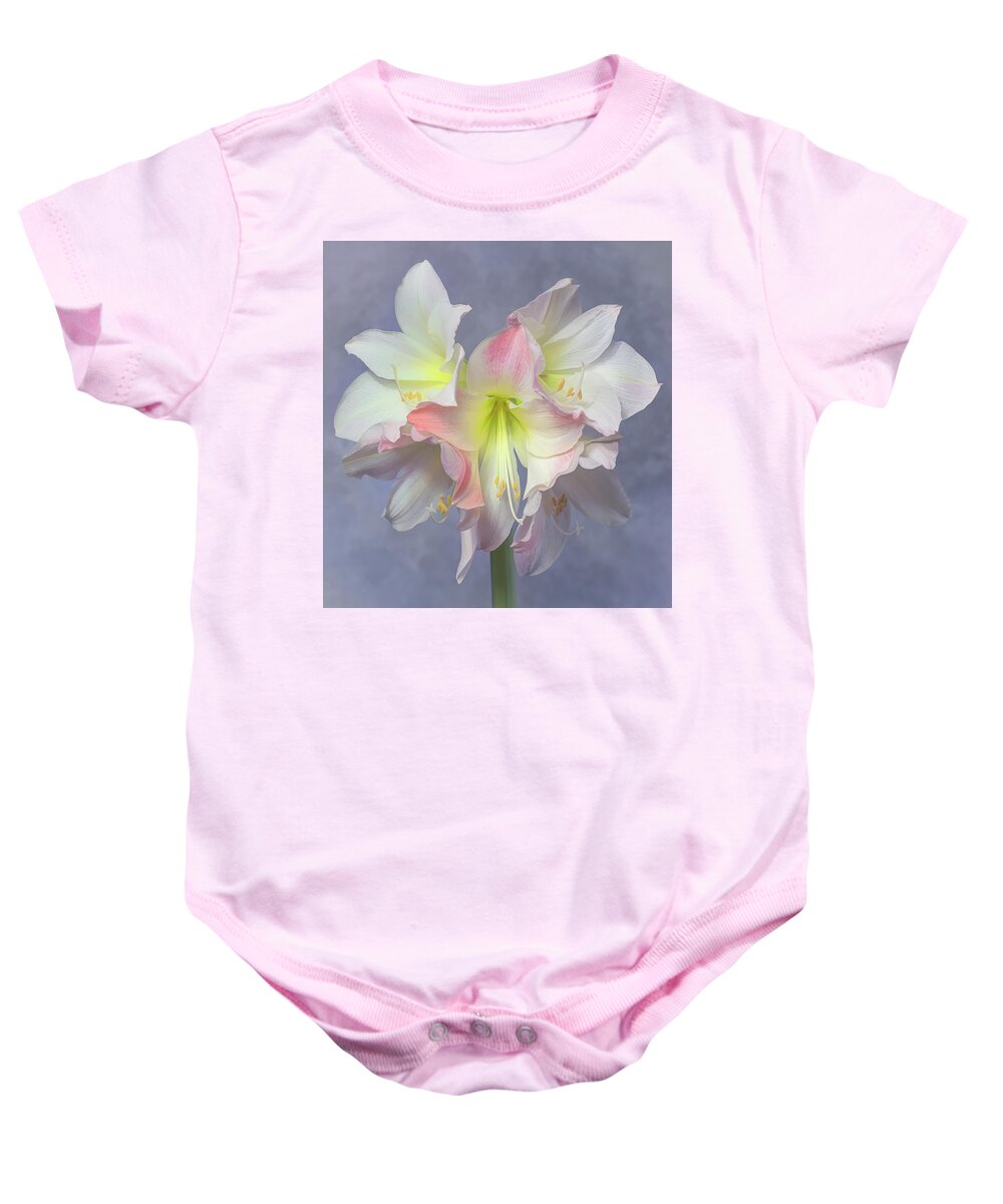 Amaryllis Baby Onesie featuring the photograph An Amaryllis Bloom by Sylvia Goldkranz