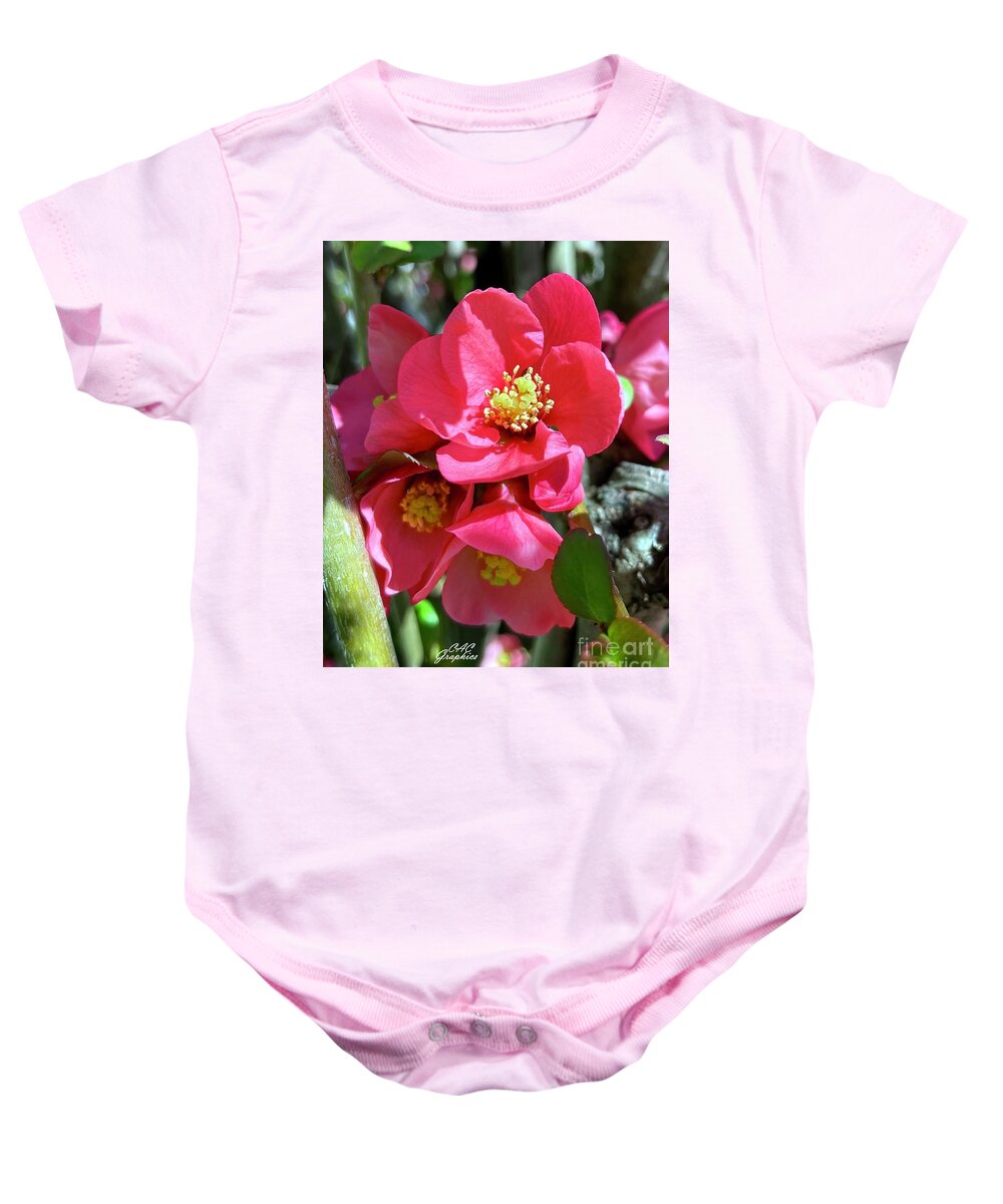 Apple Blossoms Baby Onesie featuring the photograph Apple Blossoms by CAC Graphics