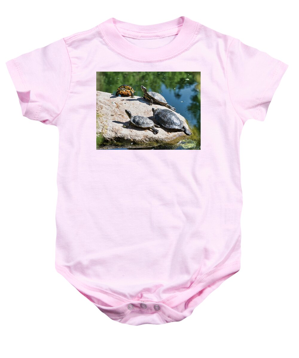 Animals Baby Onesie featuring the photograph Basking in the sun by Segura Shaw Photography