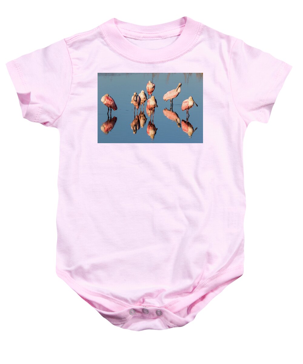 Roseate Spoonbill Baby Onesie featuring the photograph Board Meeting by Jim Miller