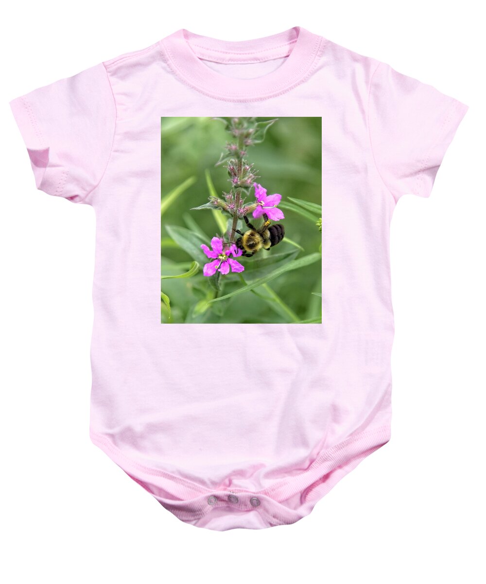 Pic Baby Onesie featuring the photograph Bumblebee #2 by Matthew Adelman