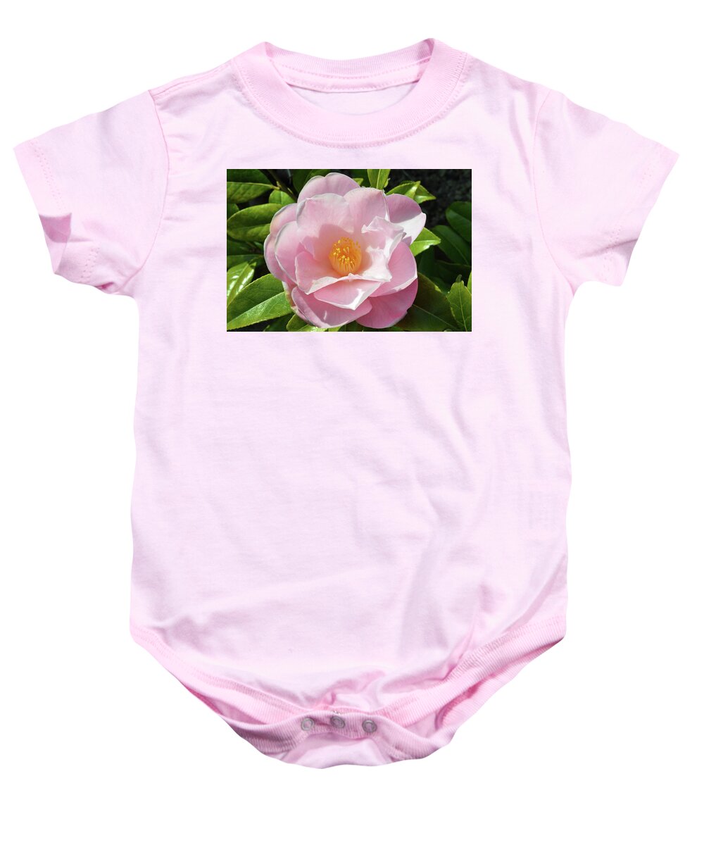 Camellia Baby Onesie featuring the photograph Camellia In Sunlight by Terence Davis