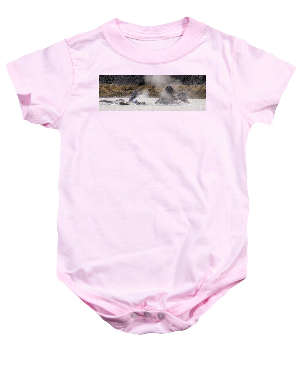 Whales Baby Onesie featuring the photograph Cruising the Shoreline by Michael Rauwolf