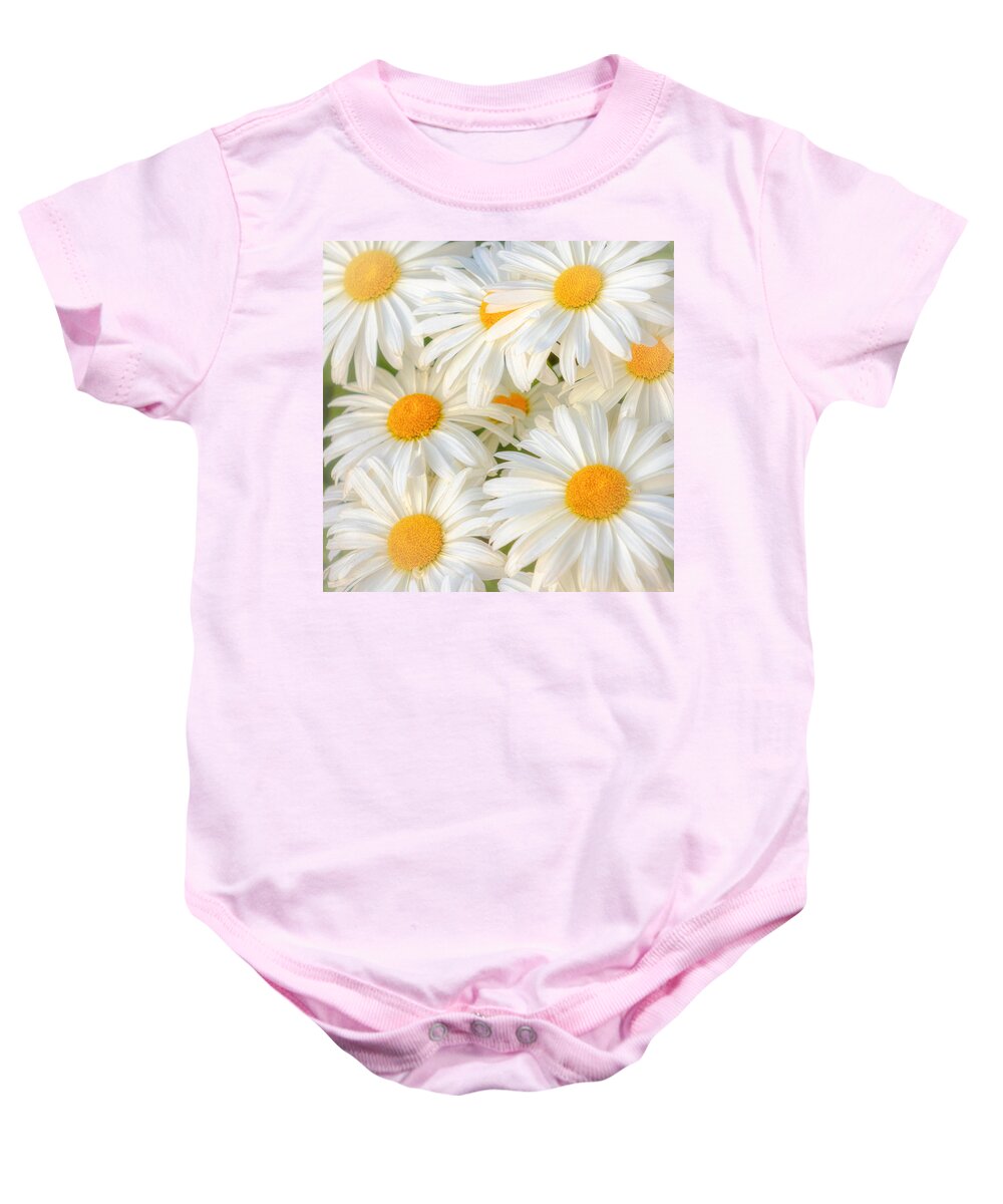 Daisies Baby Onesie featuring the photograph Daisies in a Square by Rod Best
