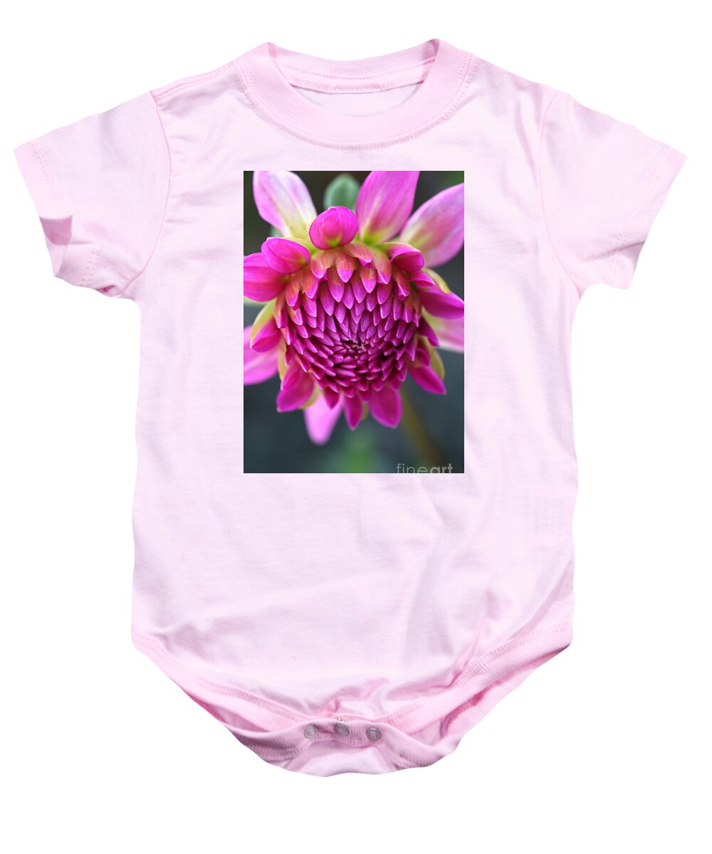 Dahlia Flower Baby Onesie featuring the photograph Face Of Dahlia by Joy Watson
