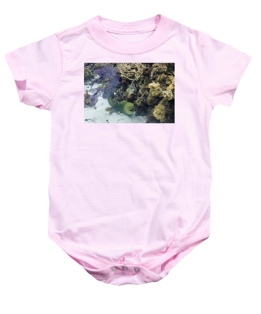 Animals Baby Onesie featuring the photograph Happy to Meet You by Lynne Browne