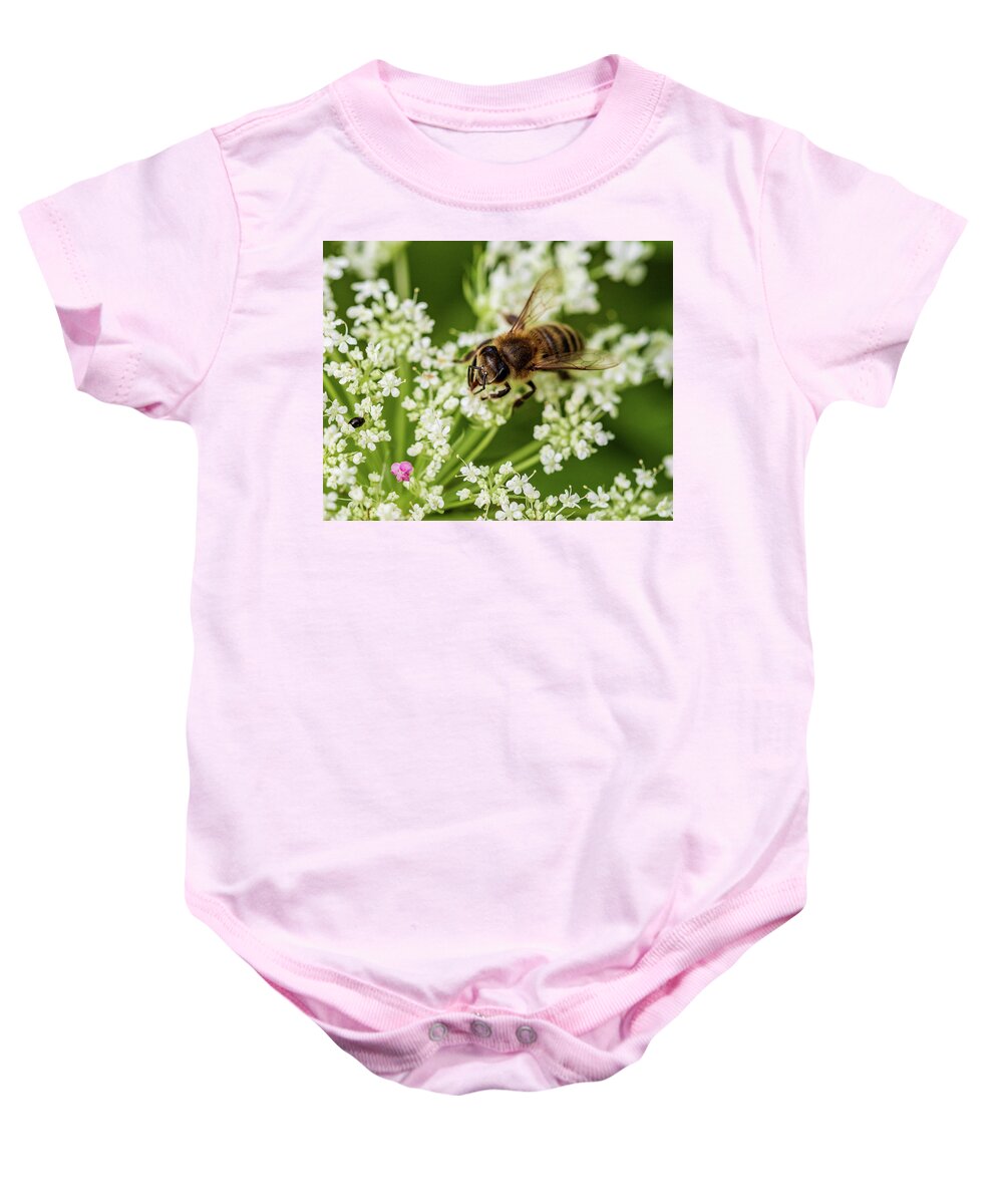 Animals Baby Onesie featuring the photograph Honey Bee and White Flowers by Amelia Pearn